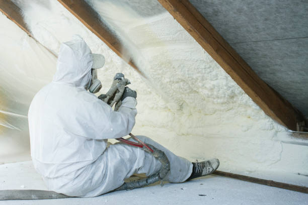 Best Attic Insulation Installation  in Estancia, NM